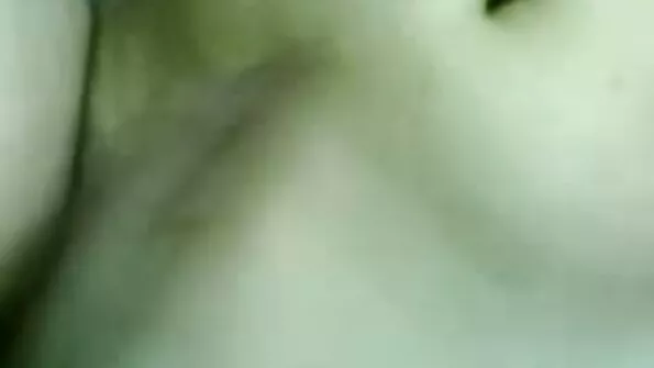 ইউরোপ, মার্কিন যুক্তরাষ্ট্র, মধ্যপ্রাচ্য, দক্ষিণ এশিয়া এবং এশিয়া ইংলিশ সেক্স ভিডিও এইচডি থেকে আমাদের পণ্য উন্নীত করা.